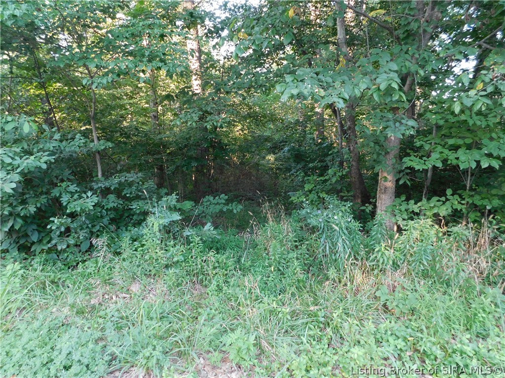5000 West Hensler Road Hanover, IN 47243 - Photo 1 of 6