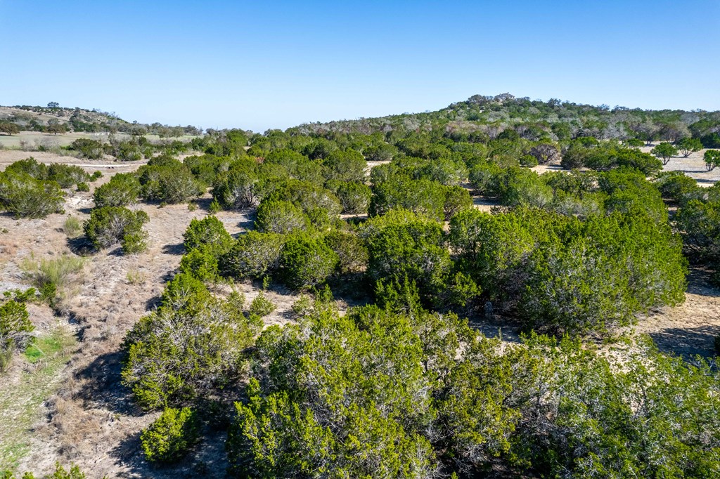 665-699 Cool Creek Rd Camp Kerrville, TX 78028 - Photo 15 of 30 a view of a green field with lots of bushes