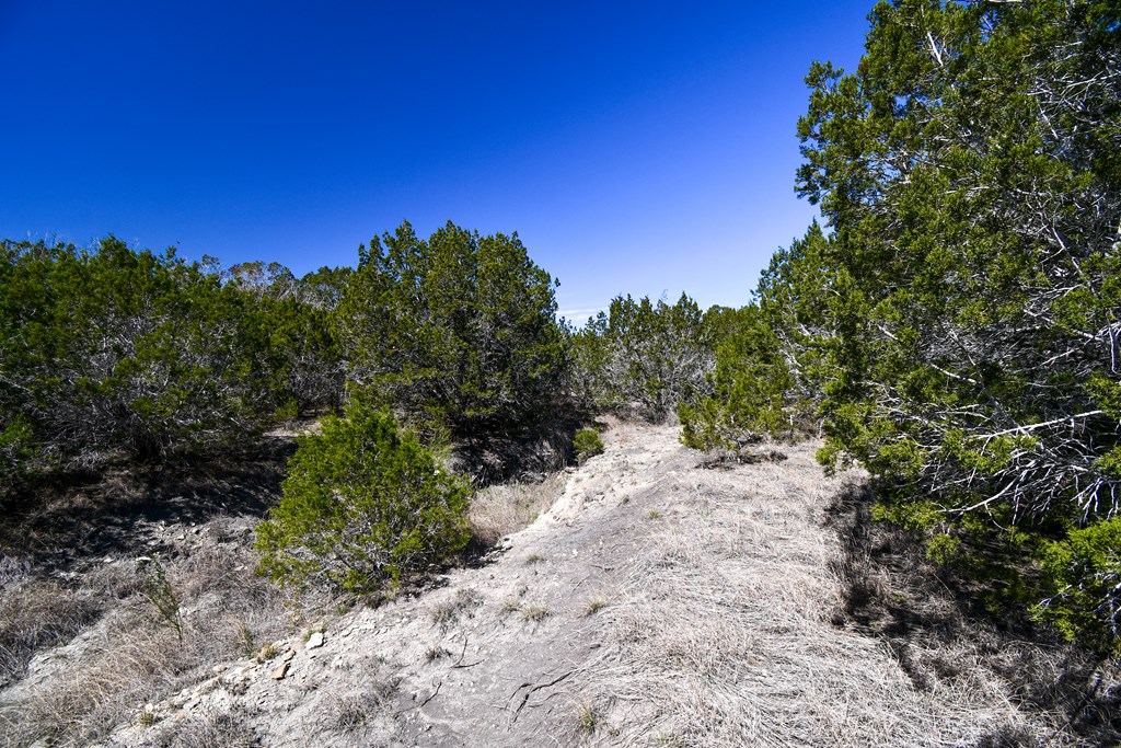 665-699 Cool Creek Rd Camp Kerrville, TX 78028 - Photo 18 of 30 a view of a dirt road with trees in the background