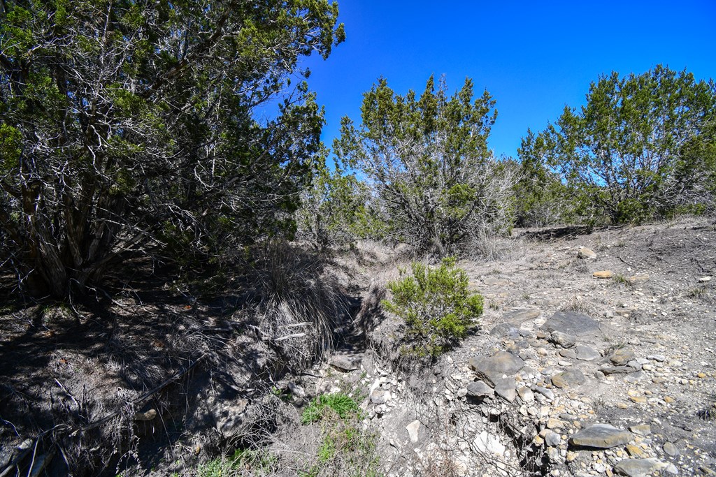 665-699 Cool Creek Rd Camp Kerrville, TX 78028 - Photo 19 of 30 a big yard with lots of green space