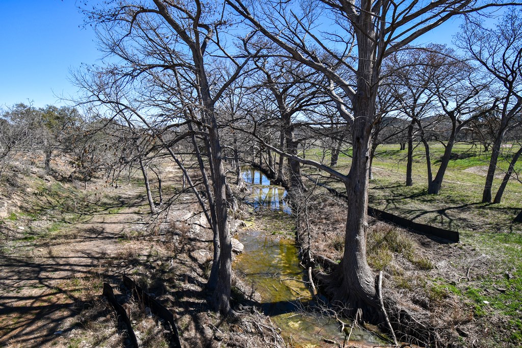 665-699 Cool Creek Rd Camp Kerrville, TX 78028 - Photo 25 of 30 a view of a yard with a tree