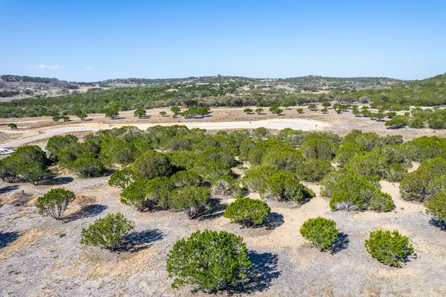 a view of a lot of trees and houses