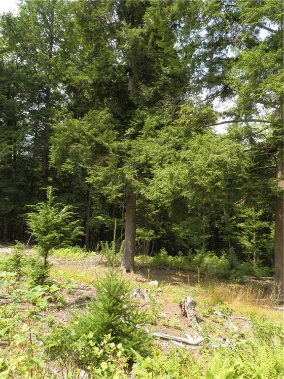 Lot 14 Pullen Road Garland, ME 04939 - Photo 9 of 20 Photo