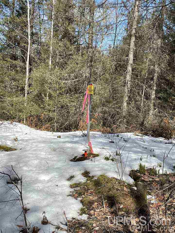 Tbd Tbd Co Road, Unit 1 Marquette, MI 49855 - Photo 39 of 50
