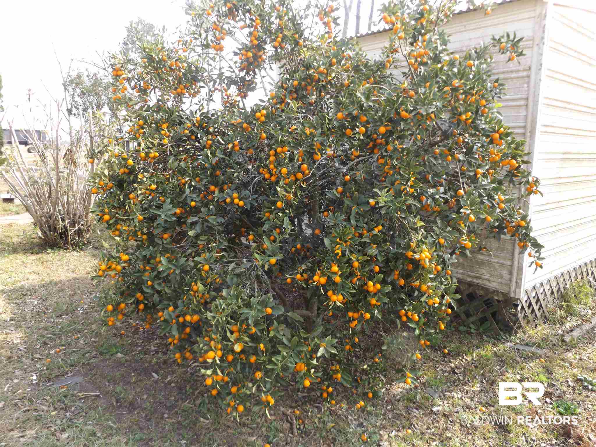 11639 County Road 65 Foley, AL 36535 - Photo 28 of 28