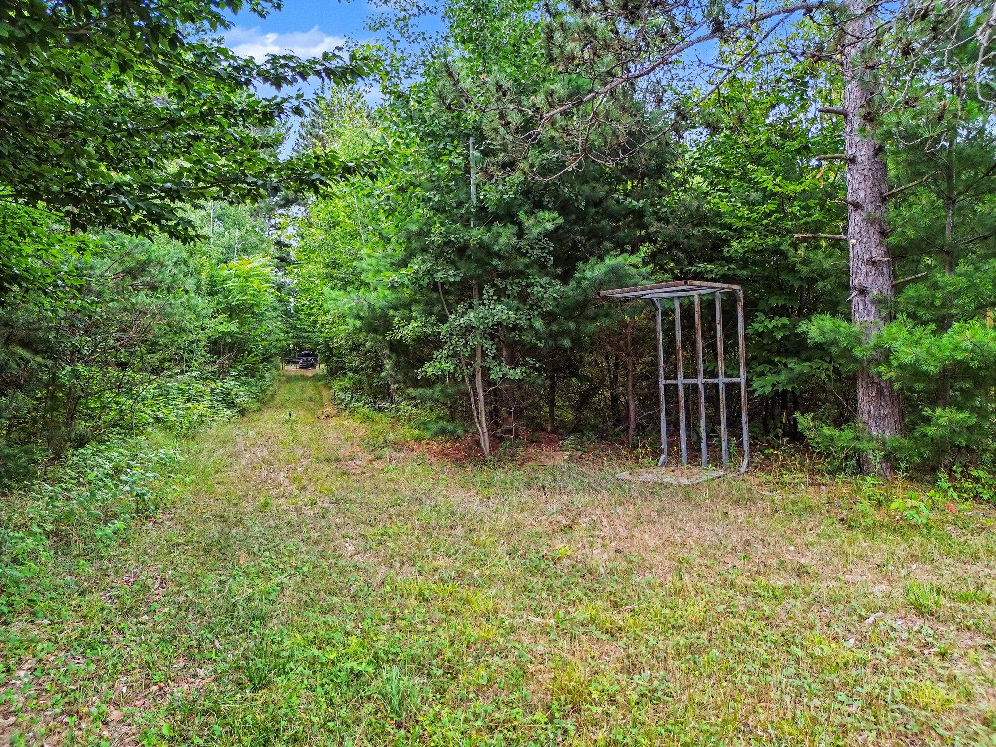 8732 Aylsworth Road Benzonia, MI 49616 - Photo 10 of 21 007_file_5697