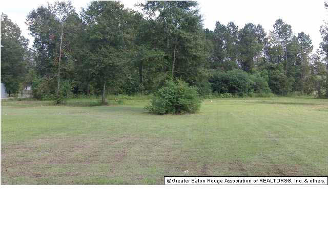 17920 Cleo Road Livingston, LA 70754 - Photo 14 of 19 Gallery Image 14