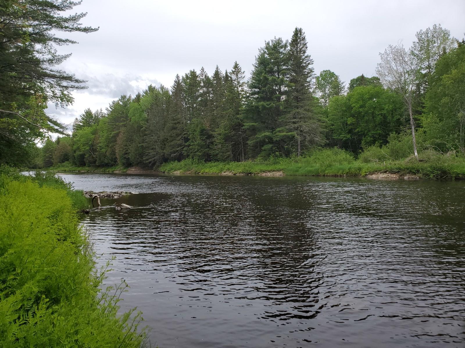 L2 Us Rt 2 Kingman, ME 04451 - Photo 2 of 18 20210603_155738