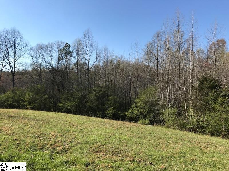 0 Powder Mill Road Central, SC 29630 - Photo 2 of 9