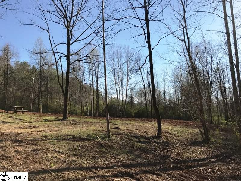 0 Powder Mill Road Central, SC 29630 - Photo 3 of 9