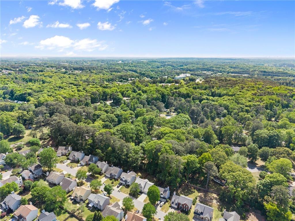 4055 Ivy Run Circle Duluth, GA 30096 - Photo 49 of 55 a view of a city with lush green forest