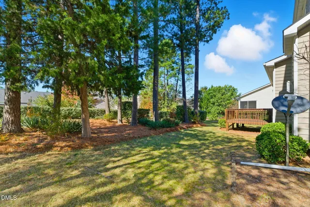 a view of a yard with plants and trees