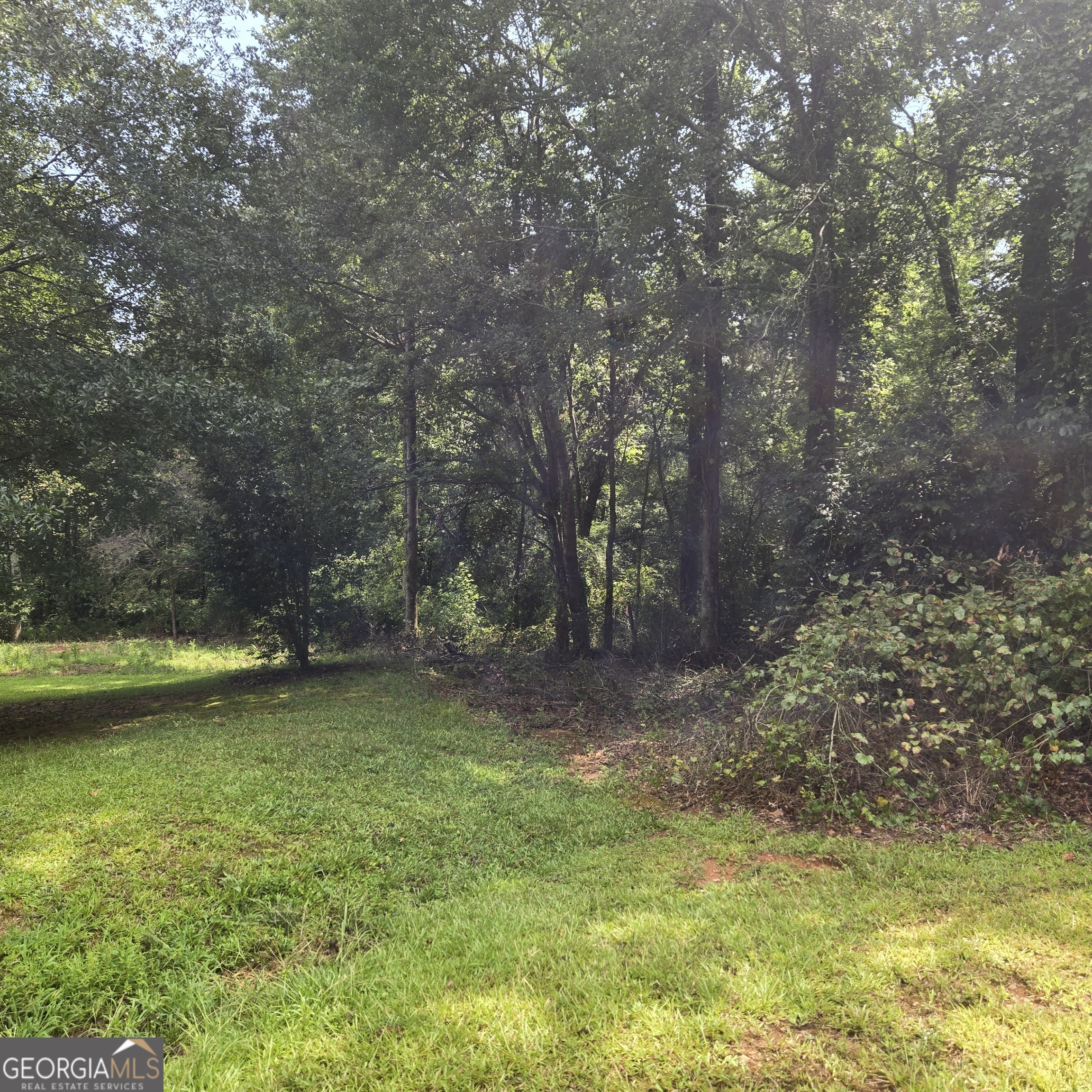 4933 Patterson Lane Gainesville, GA 30506 - Photo 1 of 1 a view of a yard with swimming pool