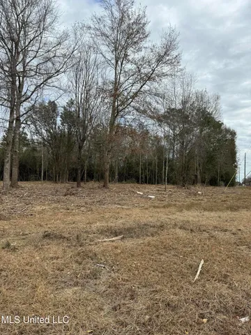 $350,000 | Highland Parkway Parkway, Picayune, MS 39466