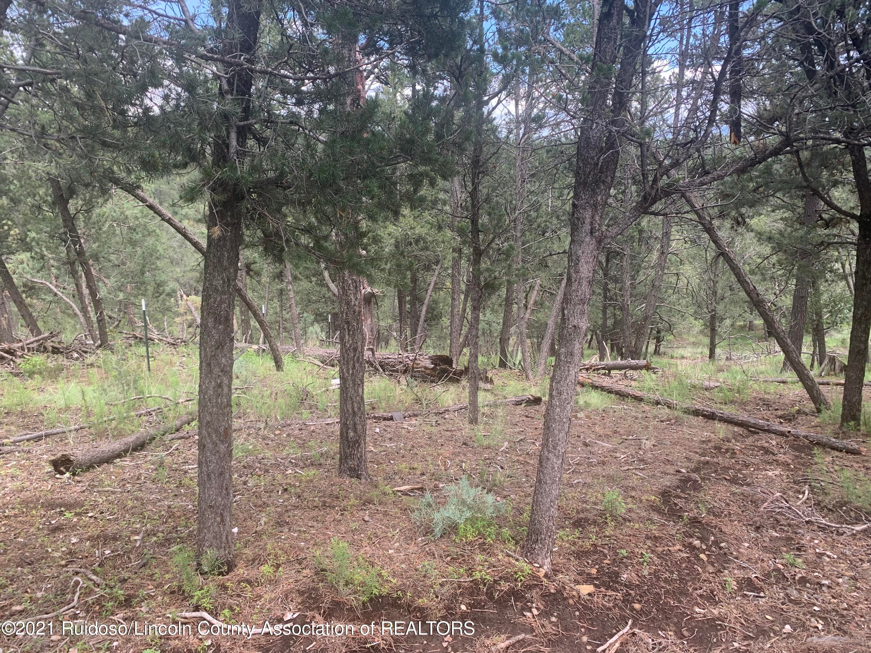 Lot 13 Mount Hood Road, Unit II Ruidoso, NM 88345 - Photo 1 of 1 Gallery Image 1