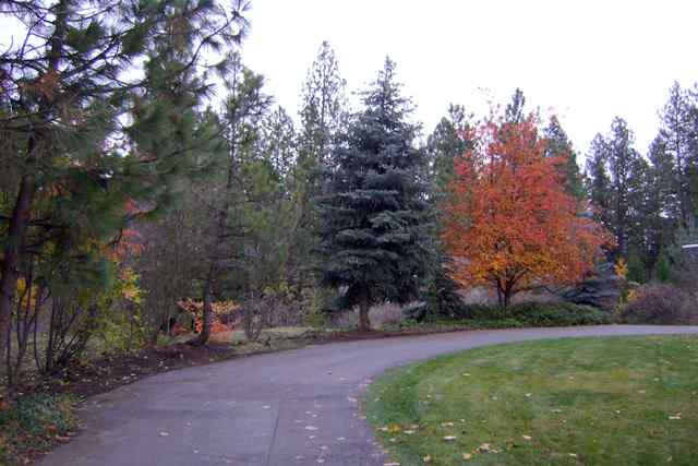 1430 East Overbluff Road Spokane, WA 99203 - Photo 9 of 9 Gallery Image 9