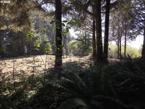 $500,000 | Hammond Lane, Unit 9, Gold Beach, OR 97444