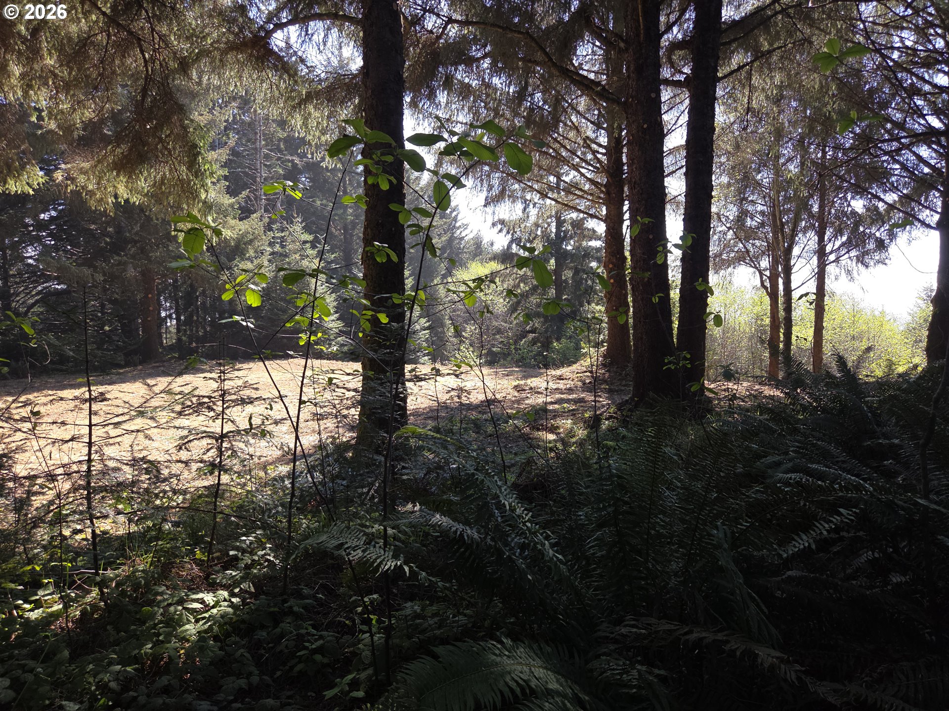 Hammond Lane, Unit 9 Gold Beach, OR 97444 - Photo 11 of 24