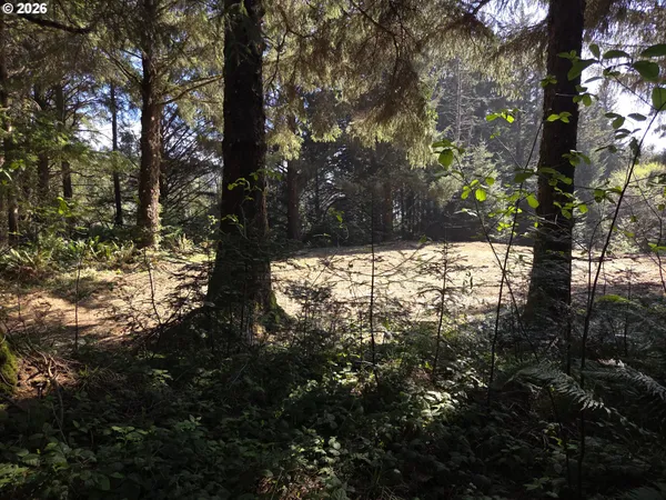 $500,000 | Hammond Lane, Unit 9, Gold Beach, OR 97444