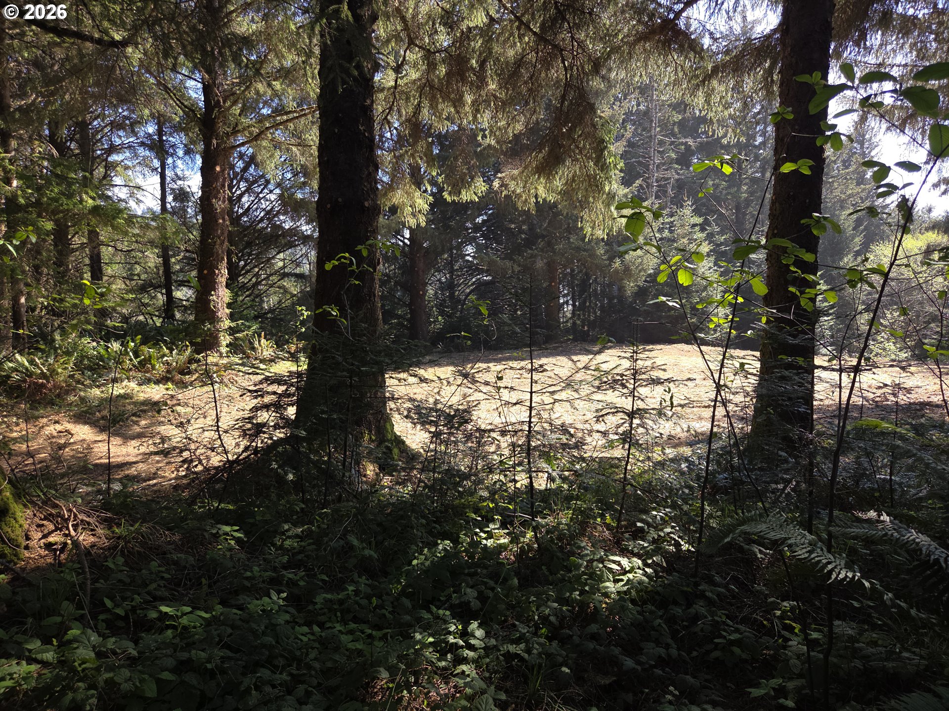 Hammond Lane, Unit 9 Gold Beach, OR 97444 - Photo 12 of 24