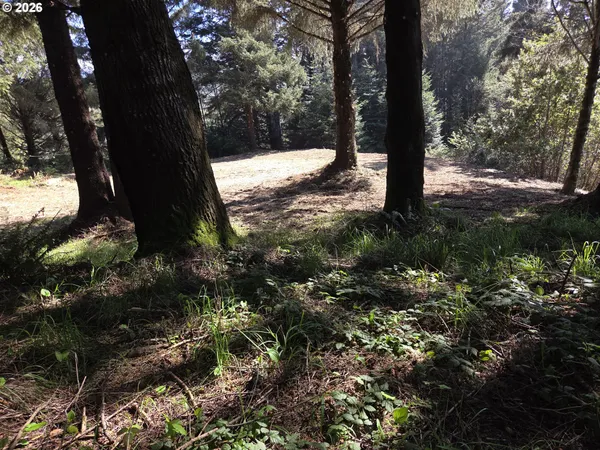 $500,000 | Hammond Lane, Unit 9, Gold Beach, OR 97444