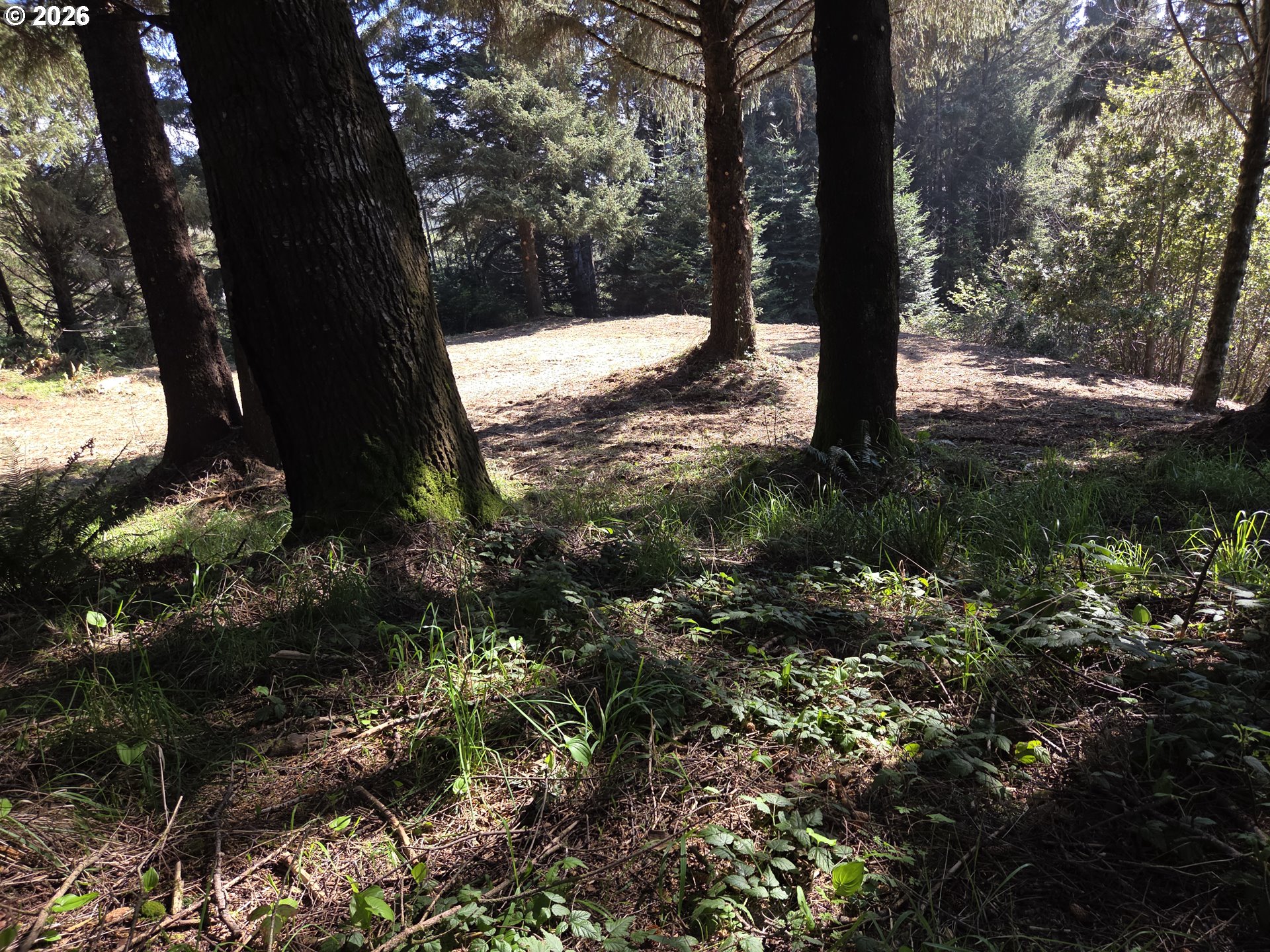 Hammond Lane, Unit 9 Gold Beach, OR 97444 - Photo 14 of 24