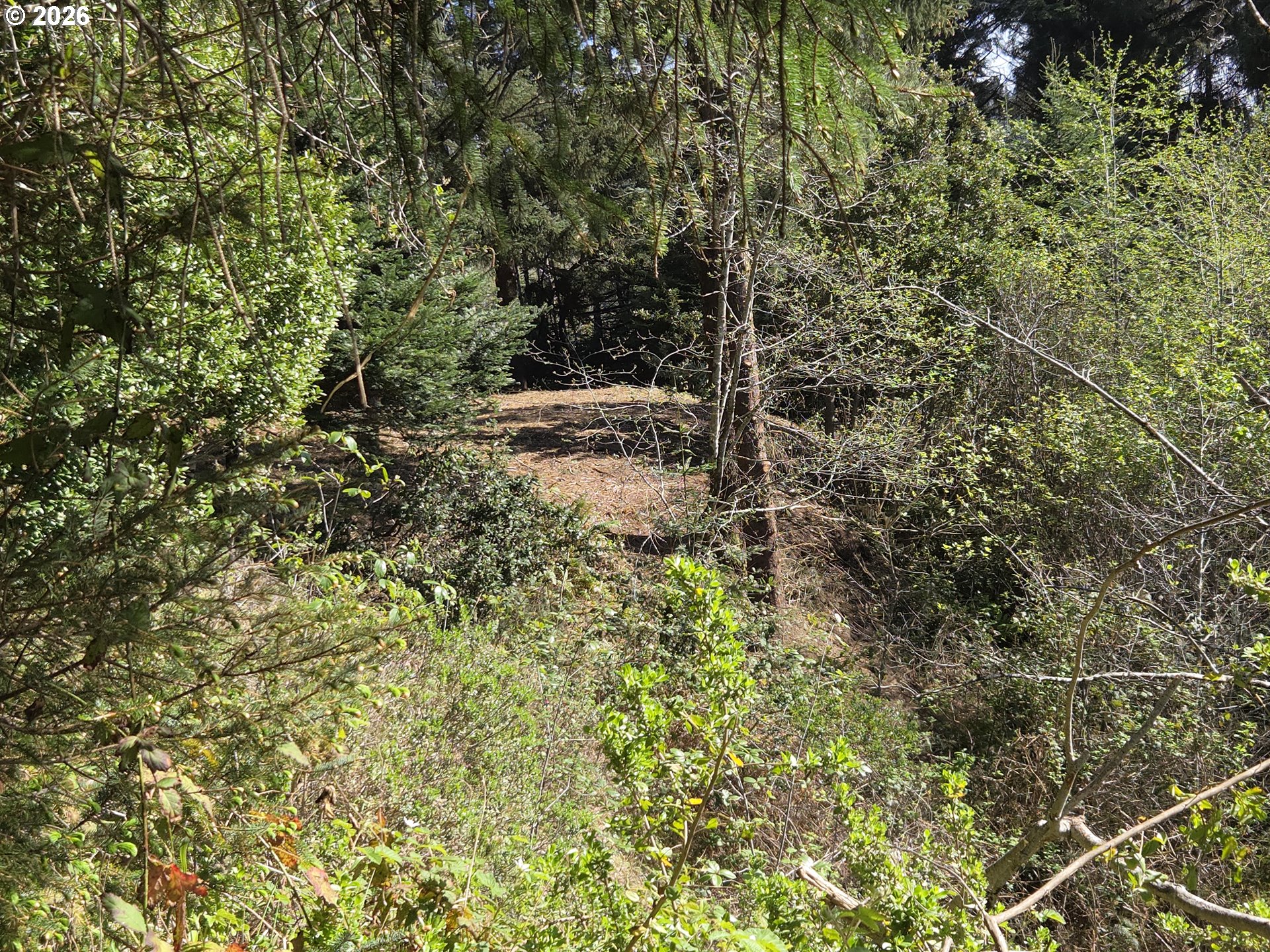 Hammond Lane, Unit 9 Gold Beach, OR 97444 - Photo 15 of 24