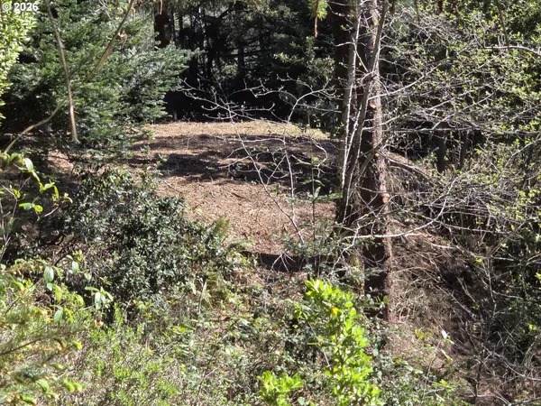 $500,000 | Hammond Lane, Unit 9, Gold Beach, OR 97444