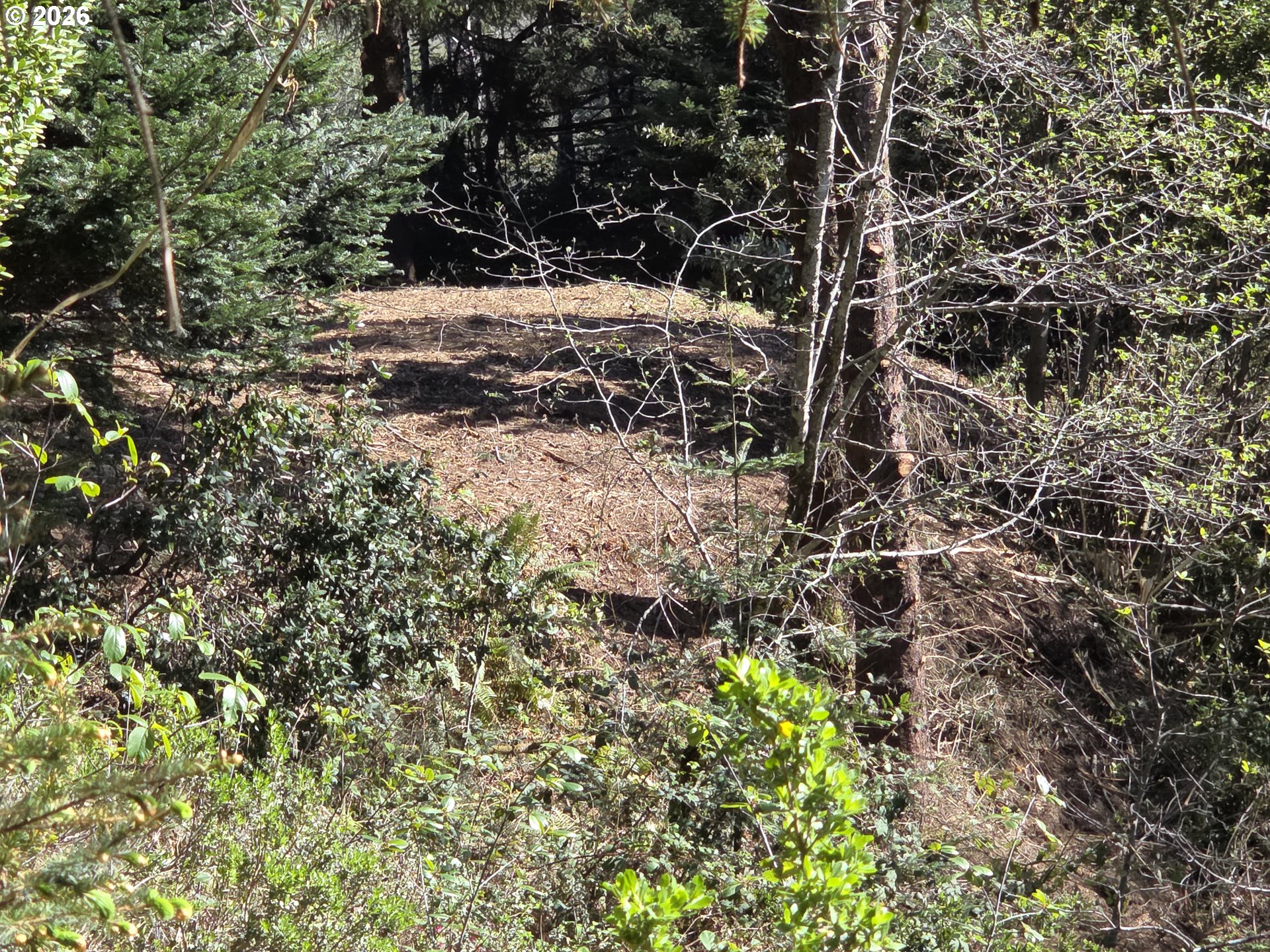 Hammond Lane, Unit 9 Gold Beach, OR 97444 - Photo 16 of 24