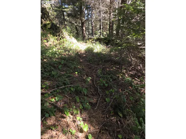 $500,000 | Hammond Lane, Unit 9, Gold Beach, OR 97444