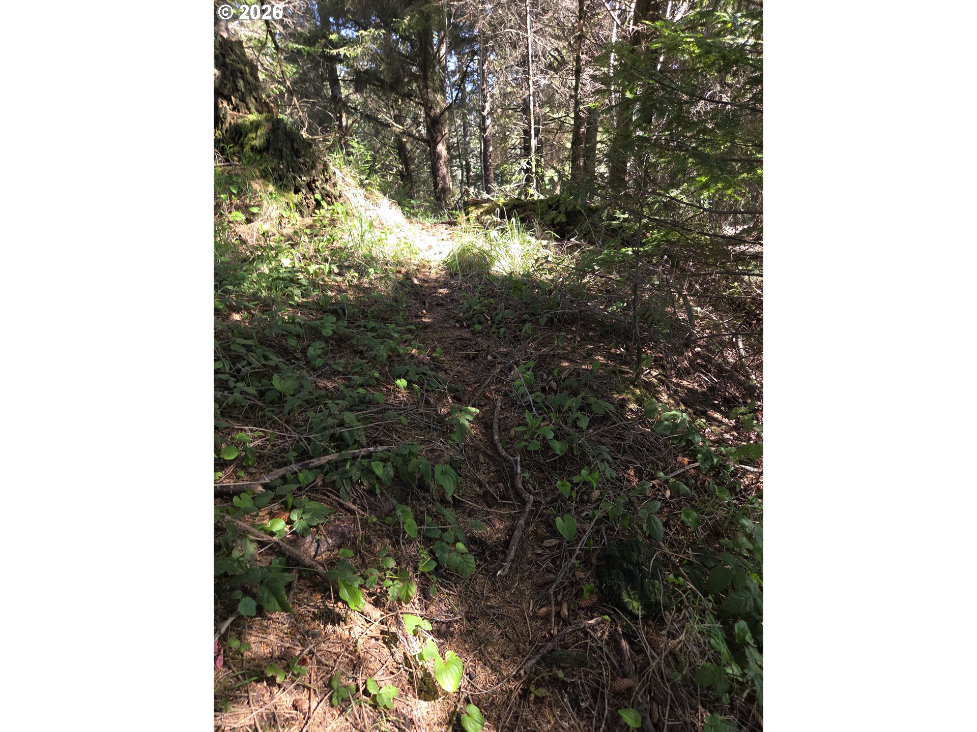 Hammond Lane, Unit 9 Gold Beach, OR 97444 - Photo 17 of 24