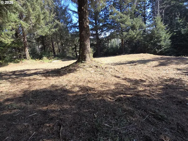 $500,000 | Hammond Lane, Unit 9, Gold Beach, OR 97444