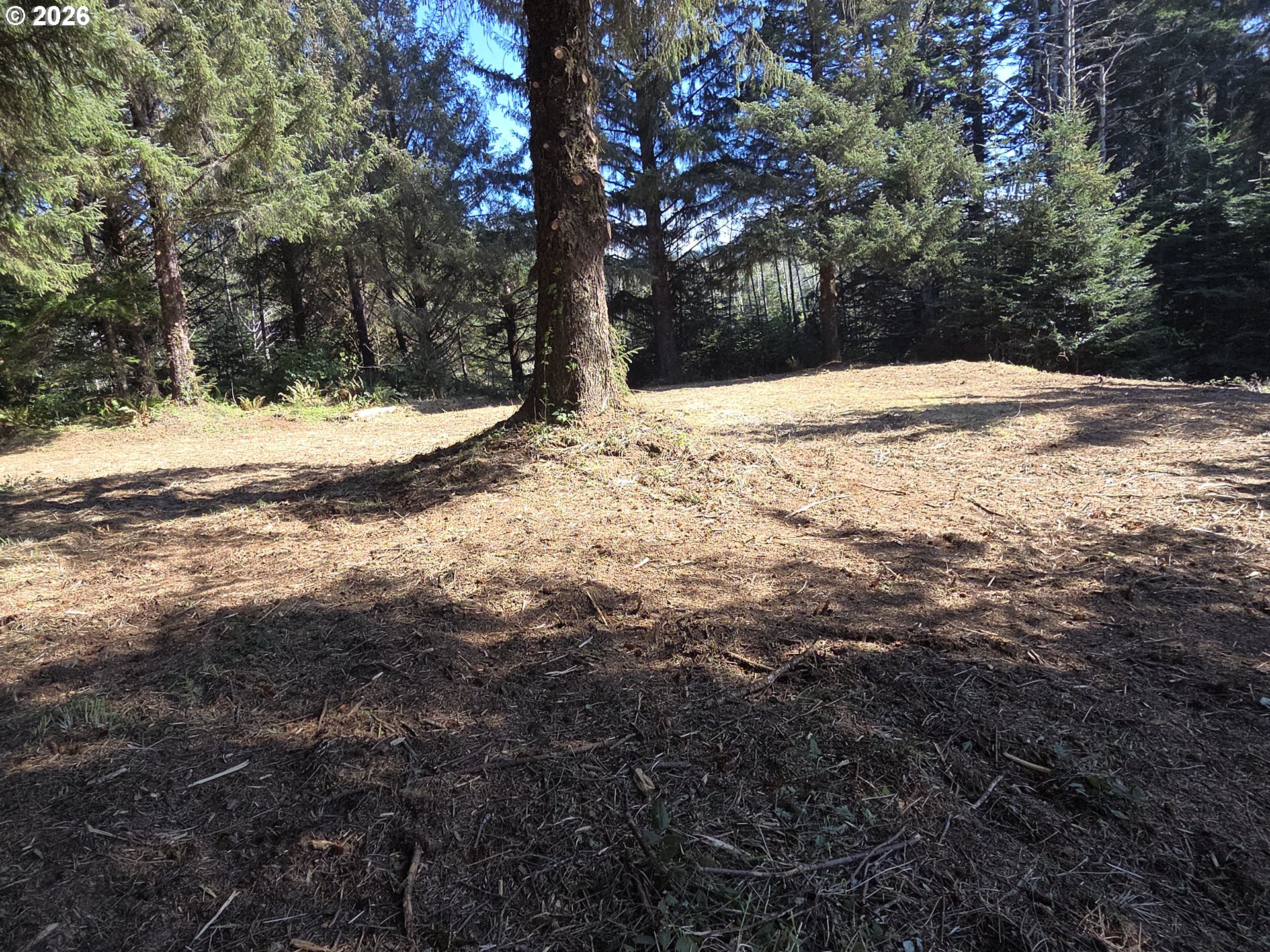 Hammond Lane, Unit 9 Gold Beach, OR 97444 - Photo 19 of 24