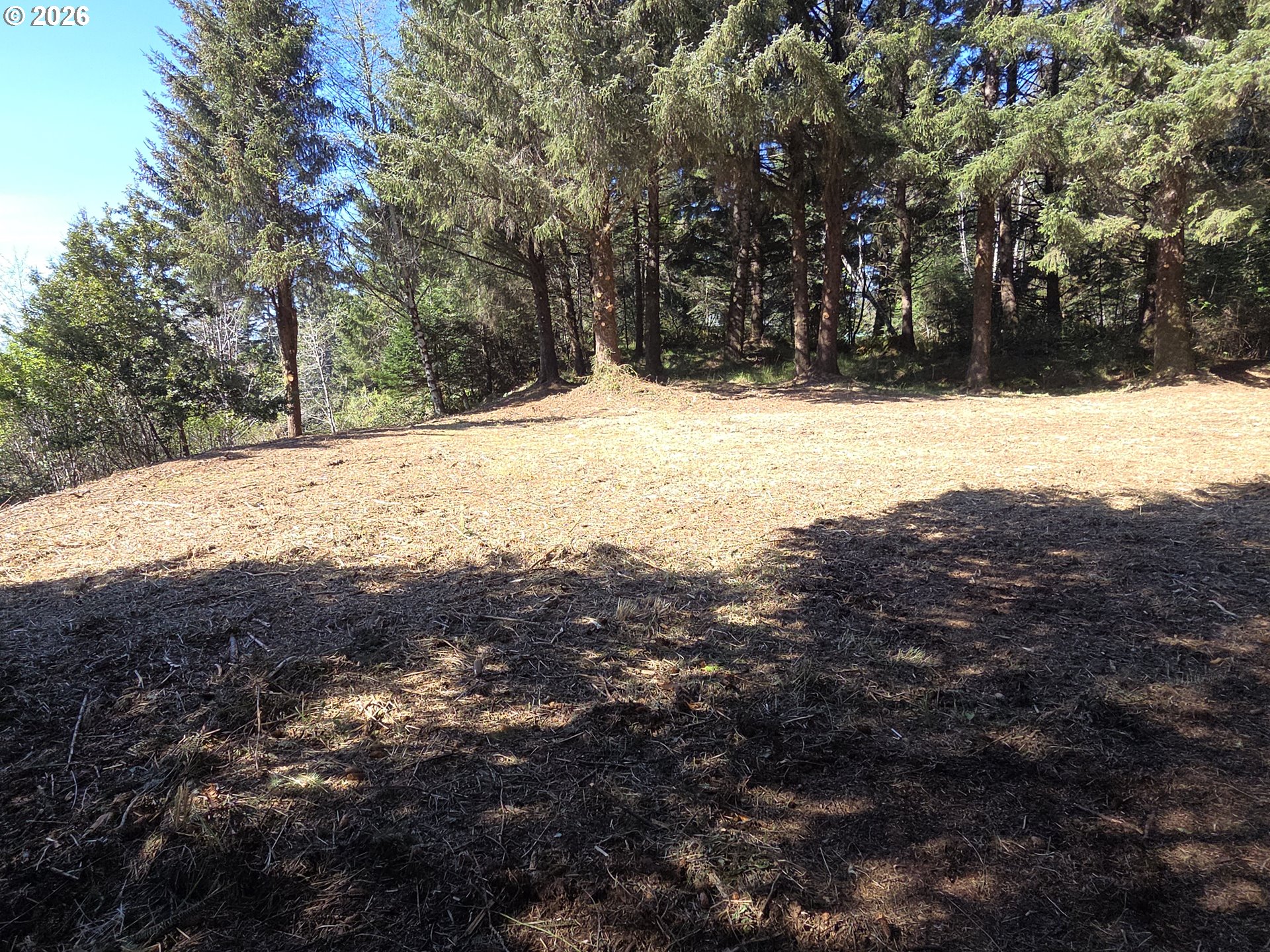 Hammond Lane, Unit 9 Gold Beach, OR 97444 - Photo 21 of 24