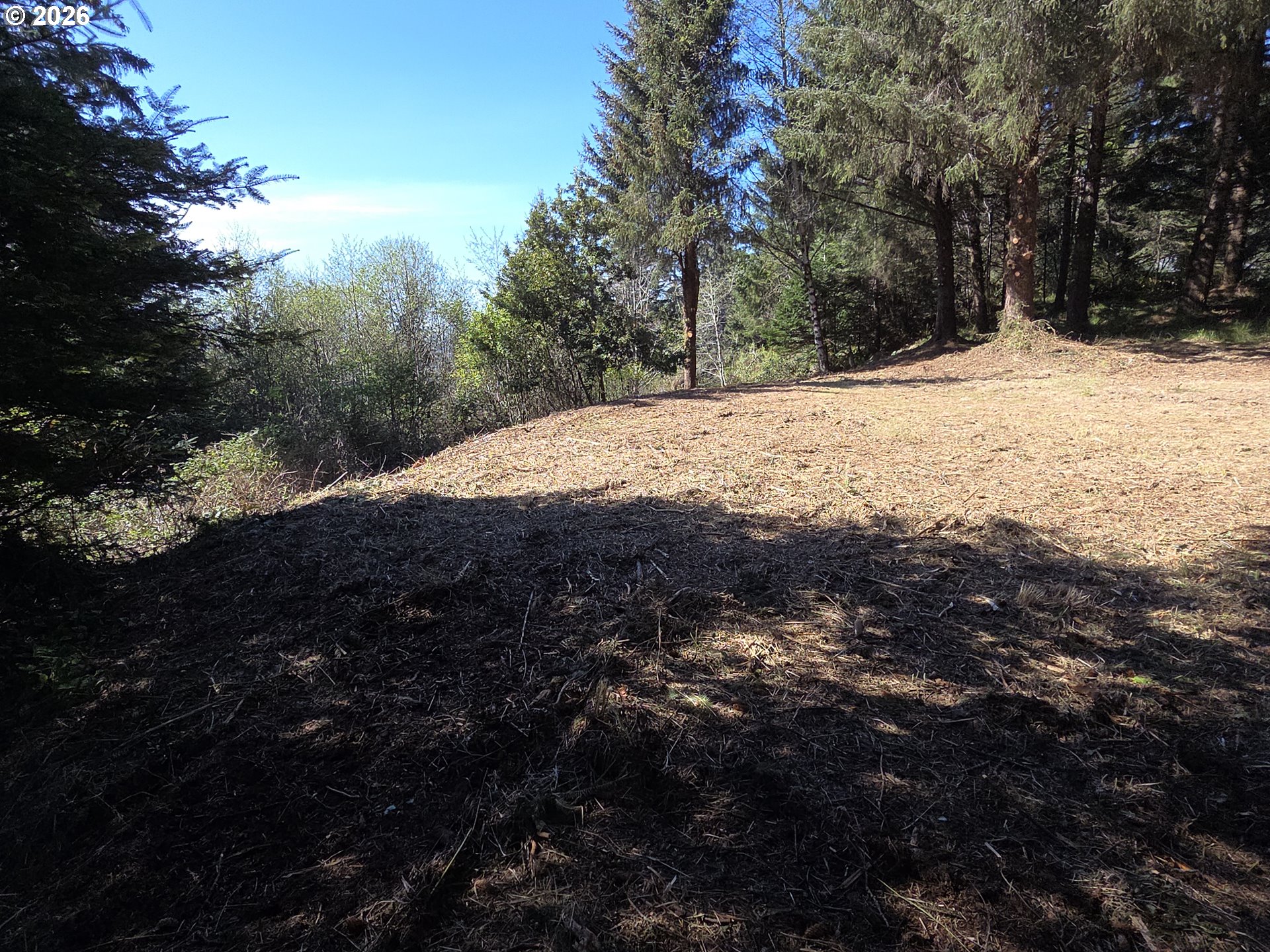 Hammond Lane, Unit 9 Gold Beach, OR 97444 - Photo 22 of 24