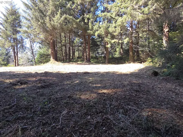 $500,000 | Hammond Lane, Unit 9, Gold Beach, OR 97444