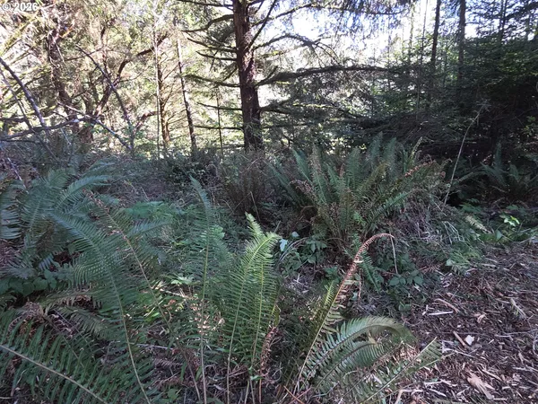 $500,000 | Hammond Lane, Unit 9, Gold Beach, OR 97444