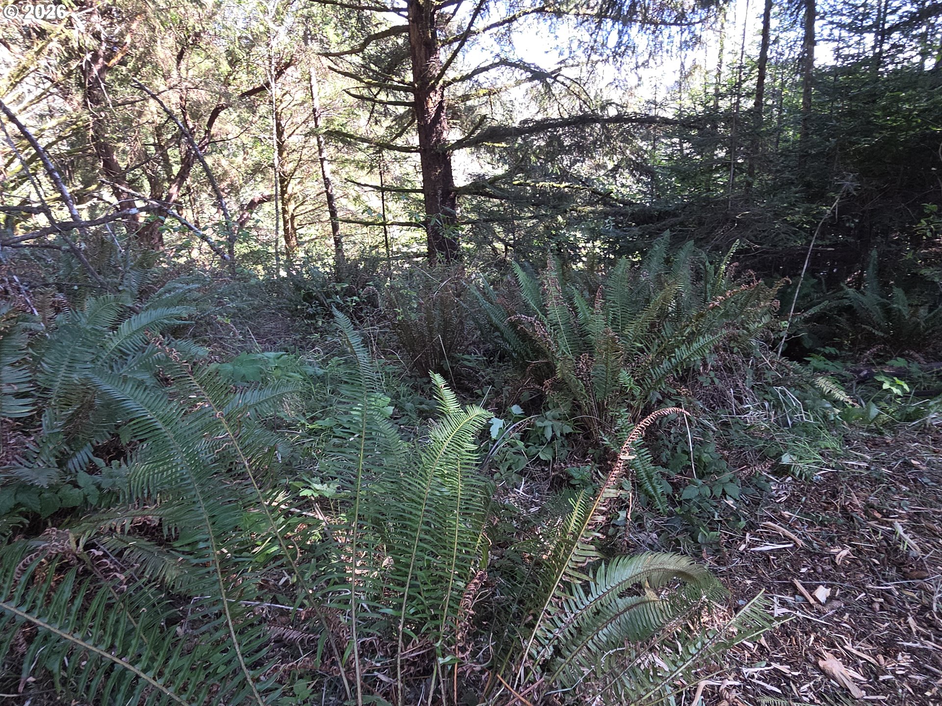 Hammond Lane, Unit 9 Gold Beach, OR 97444 - Photo 24 of 24