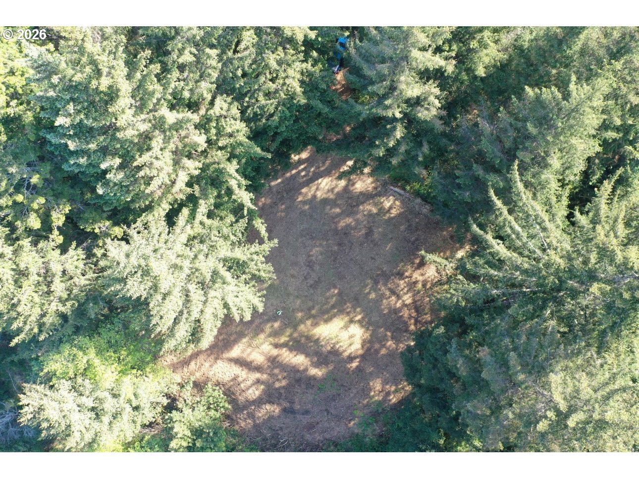 Hammond Lane, Unit 9 Gold Beach, OR 97444 - Photo 26 of 27 a view of a tree in a yard