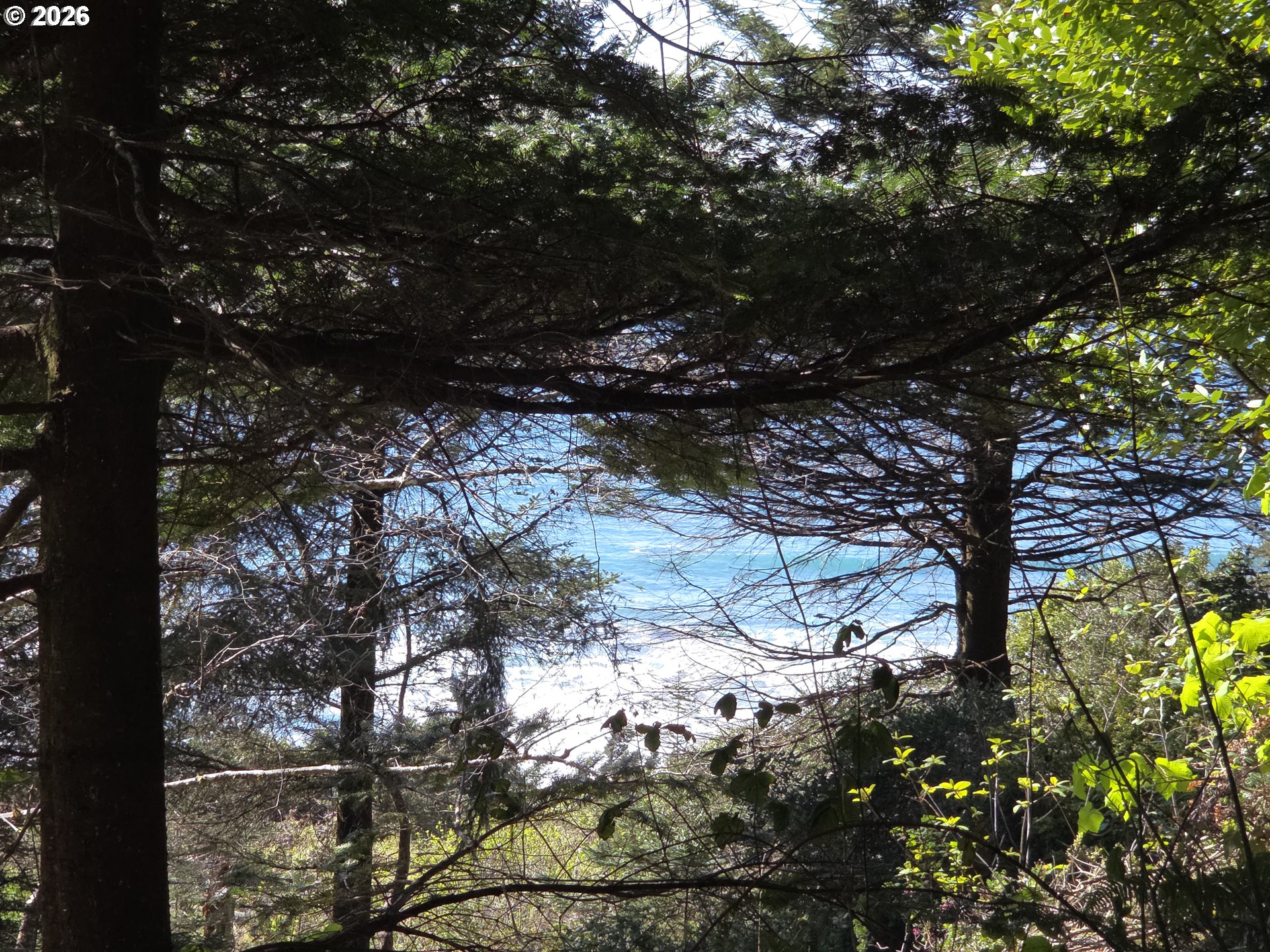 Hammond Lane, Unit 9 Gold Beach, OR 97444 - Photo 3 of 24