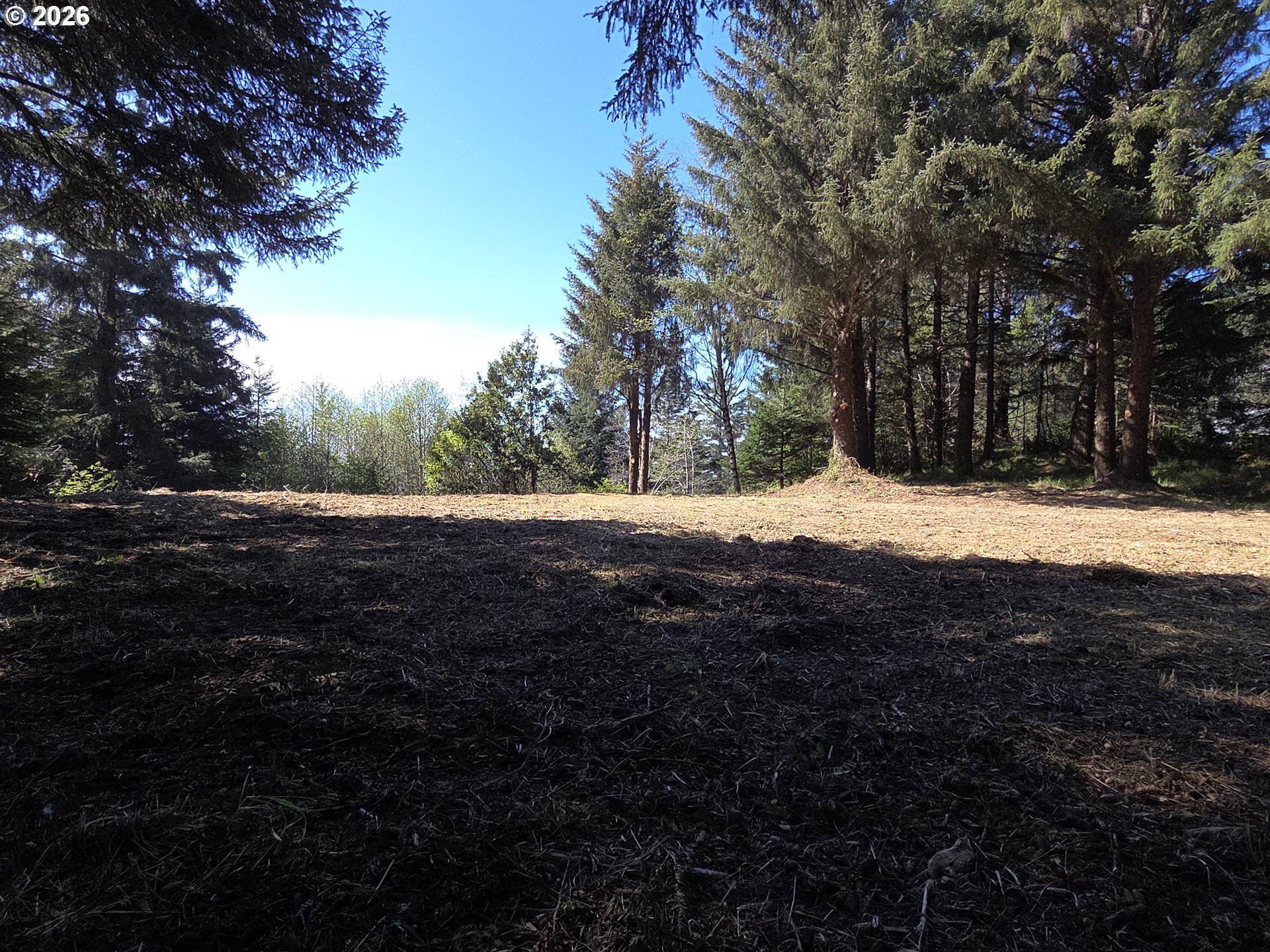 Hammond Lane, Unit 9 Gold Beach, OR 97444 - Photo 8 of 24