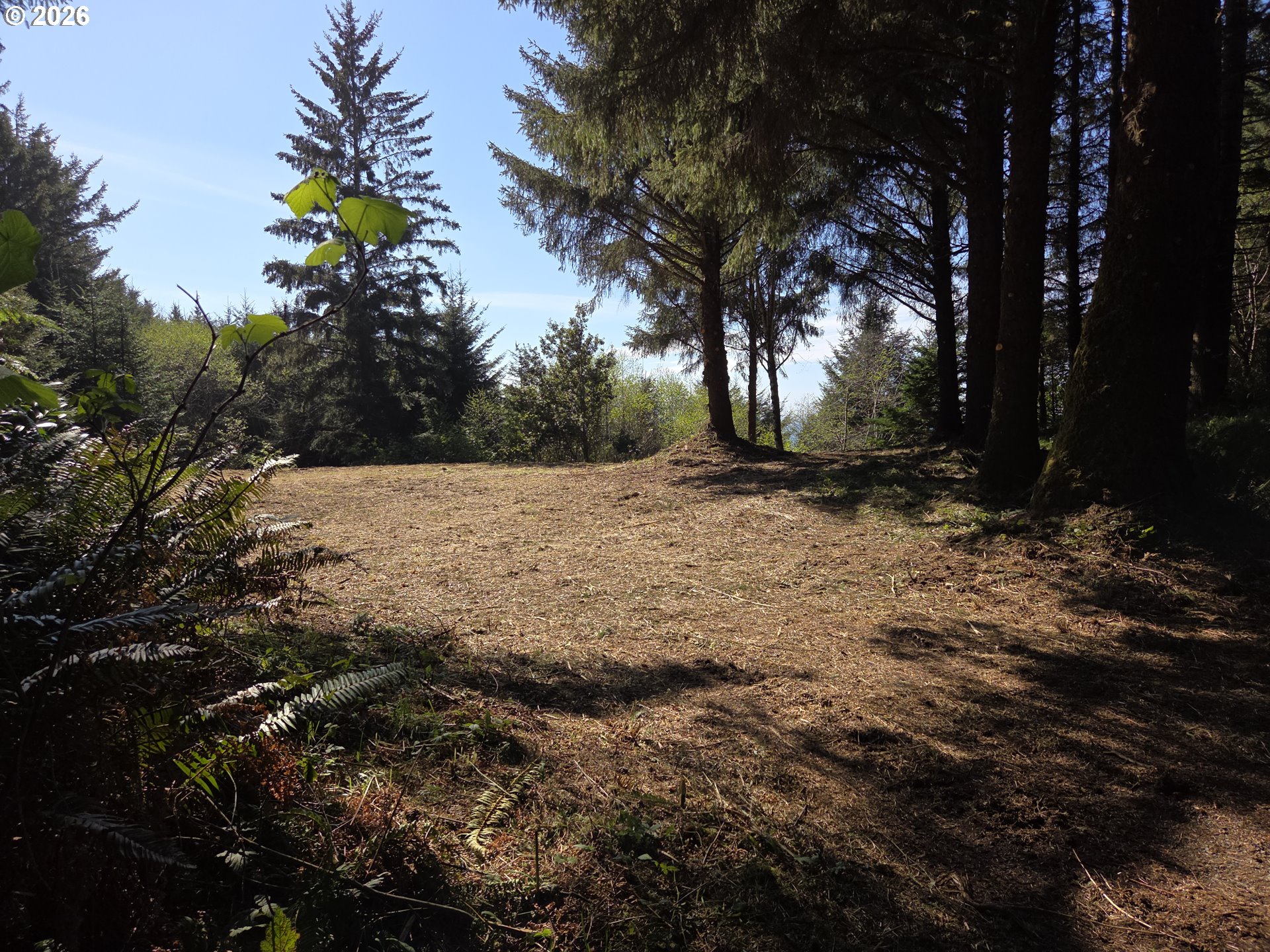 Hammond Lane, Unit 9 Gold Beach, OR 97444 - Photo 9 of 24