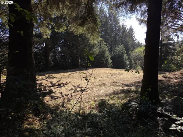 $500,000 | Hammond Lane, Unit 9, Gold Beach, OR 97444