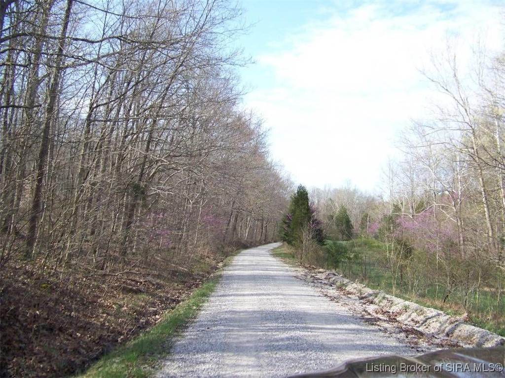 Browns Road English, IN 47118 - Photo 4 of 7