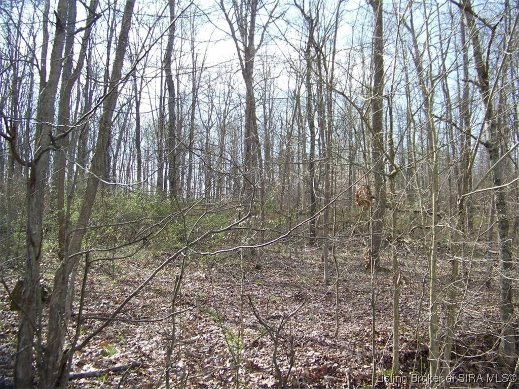 Browns Road English, IN 47118 - Photo 7 of 7