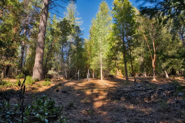 $65,000 | 3196 Pine Cone Court, Placerville, CA 95667