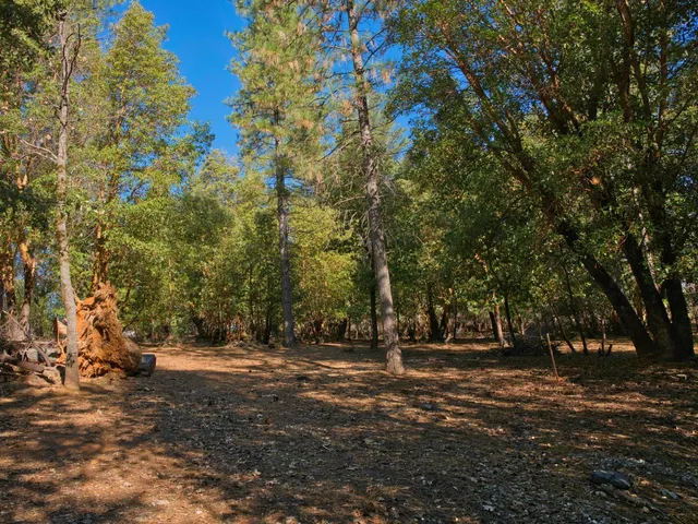 $65,000 | 3196 Pine Cone Court, Placerville, CA 95667
