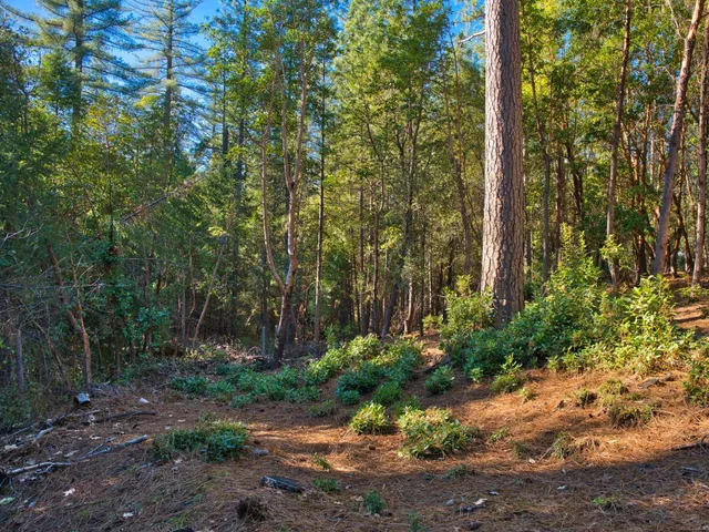 $65,000 | 3196 Pine Cone Court, Placerville, CA 95667