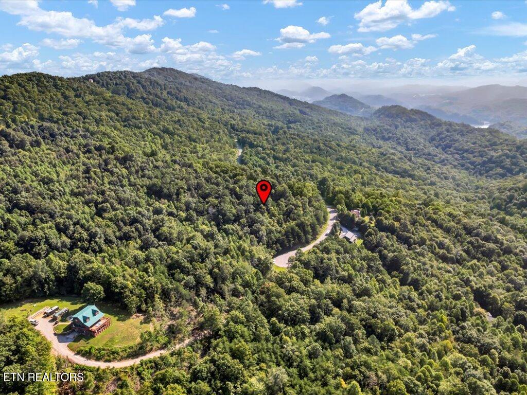 Lot 508 Hidden Springs Road New Tazewell, TN 37825 - Photo 11 of 33 Lot 508 Hidden Springs Rd - 9