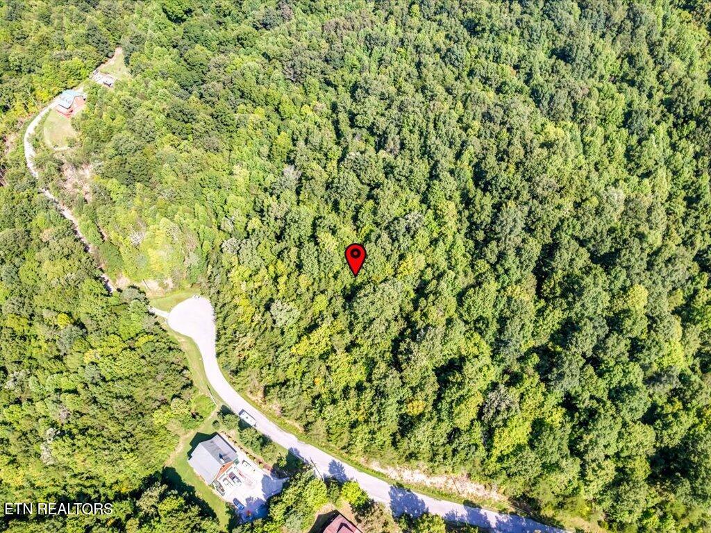 Lot 508 Hidden Springs Road New Tazewell, TN 37825 - Photo 15 of 33 Lot 508 Hidden Springs Rd - 13